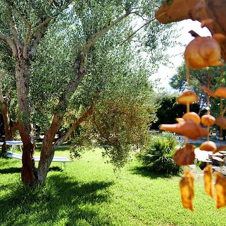 أليميني Missipezza Residence A Frassanito المظهر الخارجي الصورة