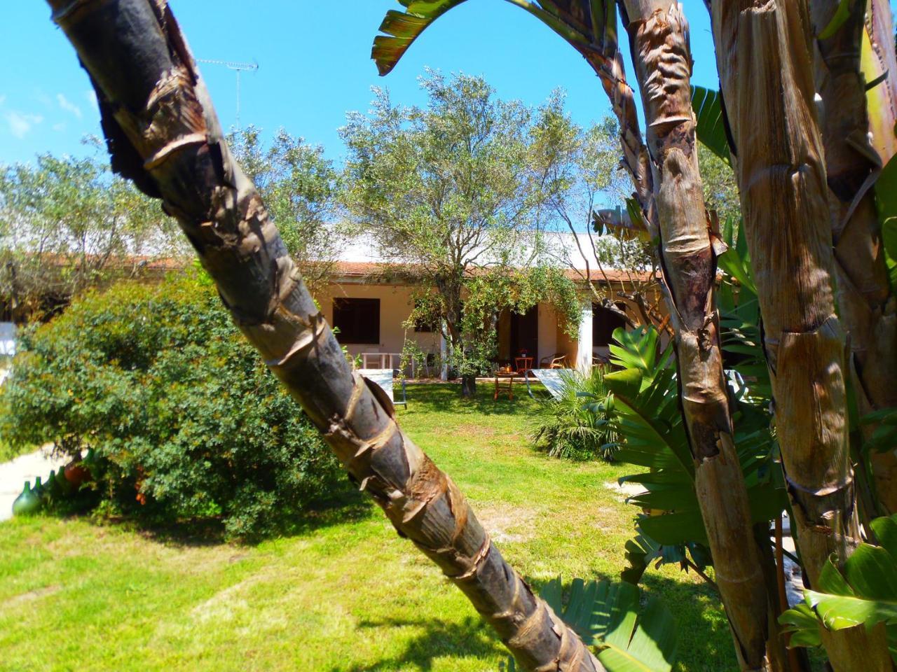أليميني Missipezza Residence A Frassanito المظهر الخارجي الصورة